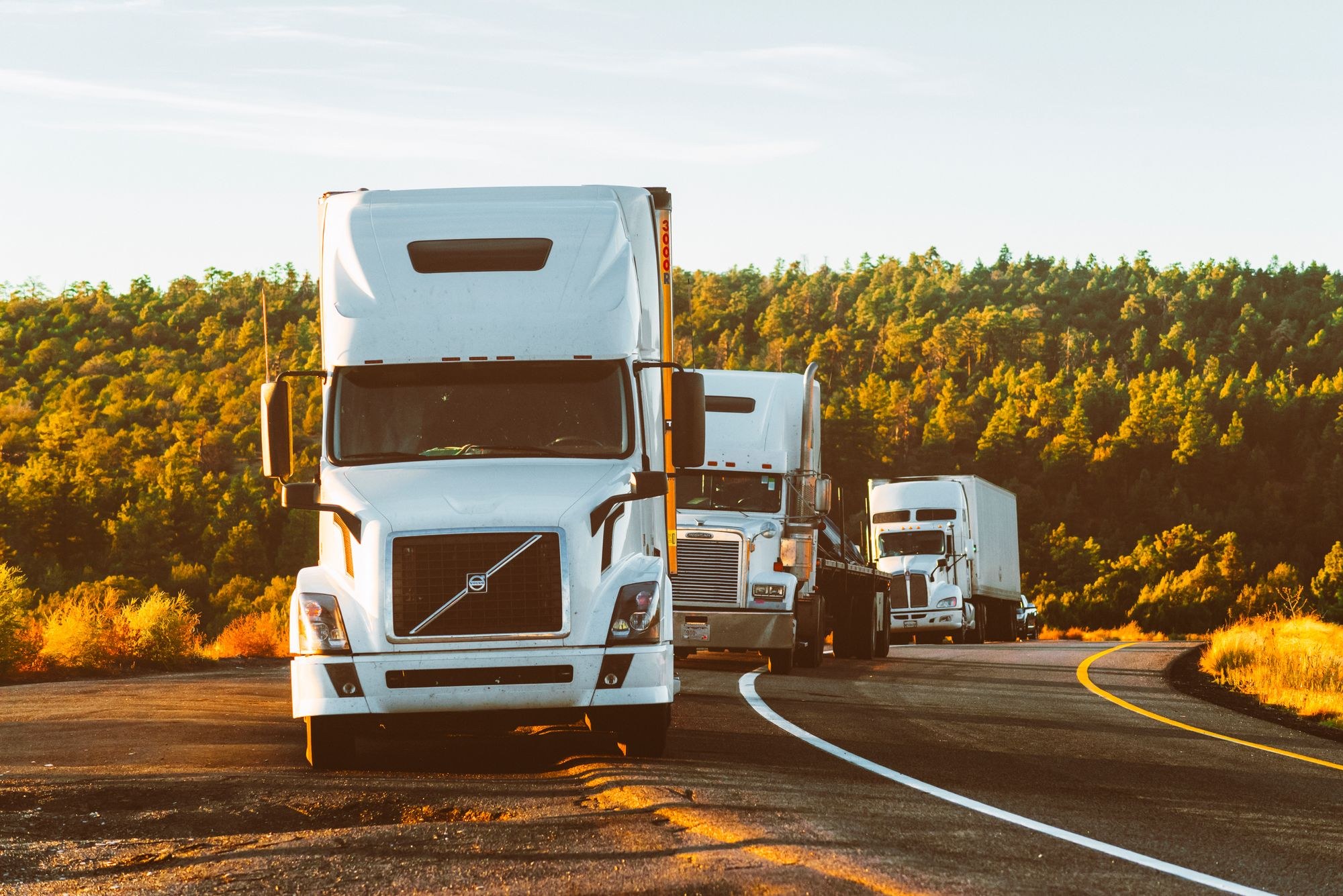 American tractor trailers traveling along a wooded highway